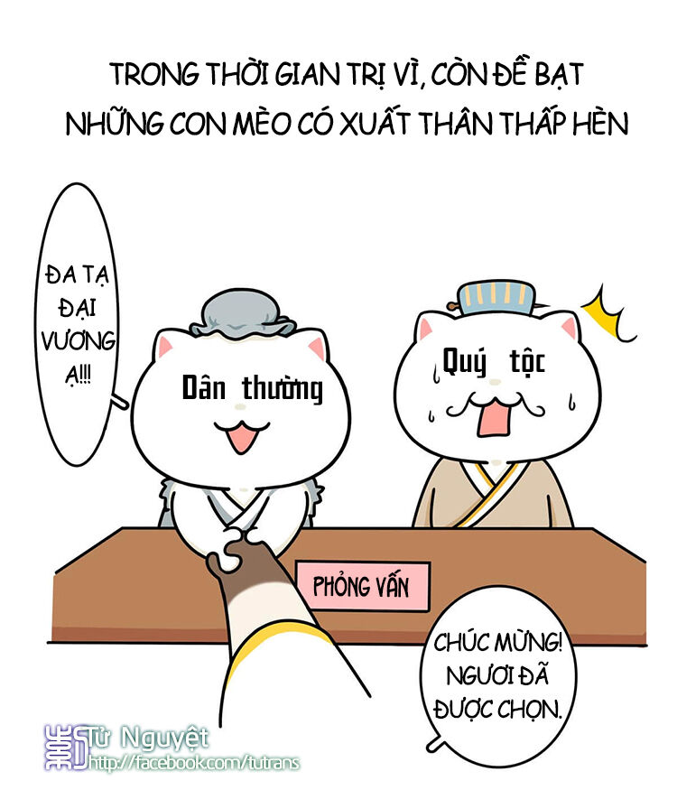 nếu lịch sử là một bầy mèo chapter 10 25