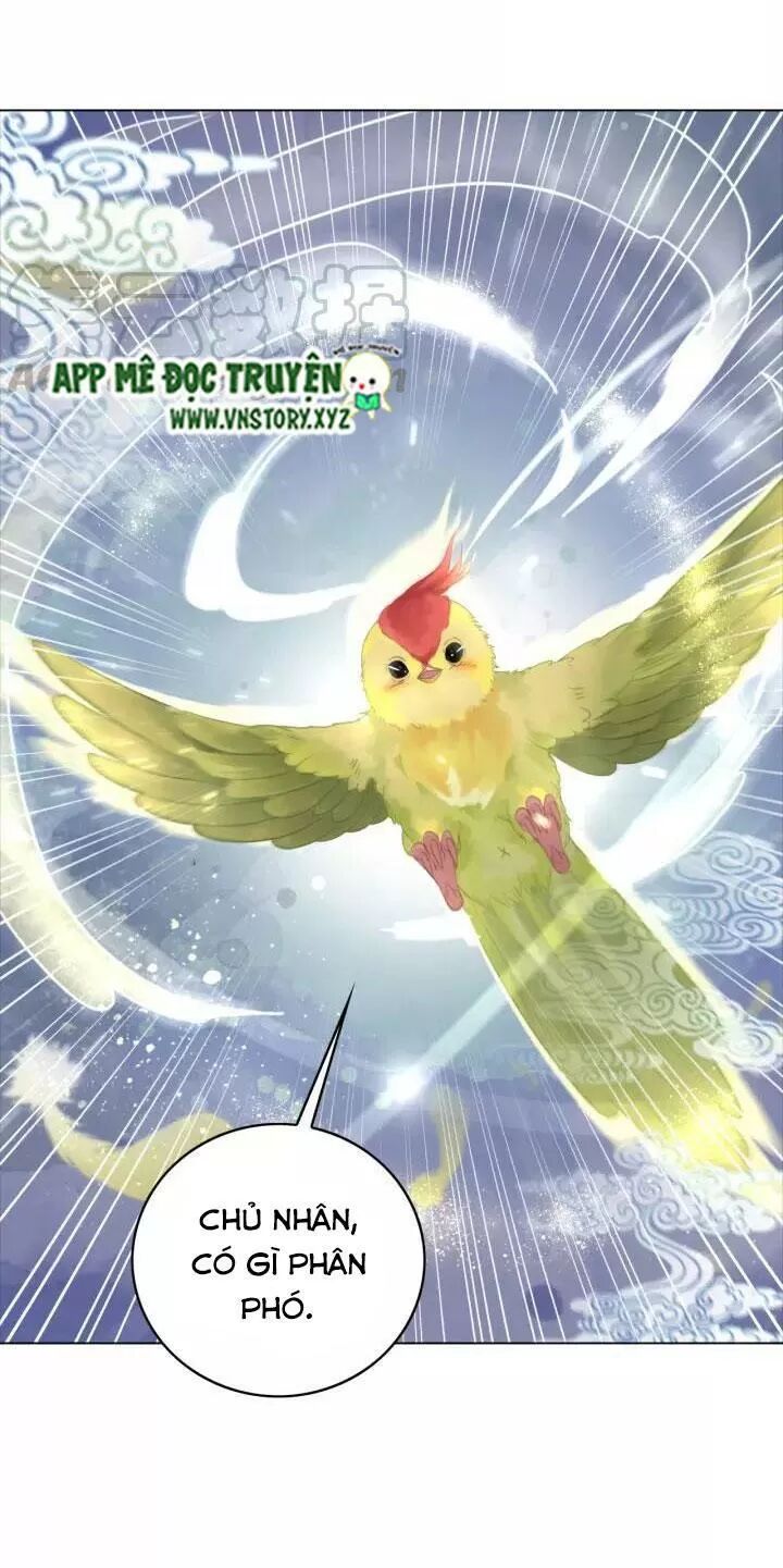 cực phẩm phế vật tiểu thư chapter 104 40