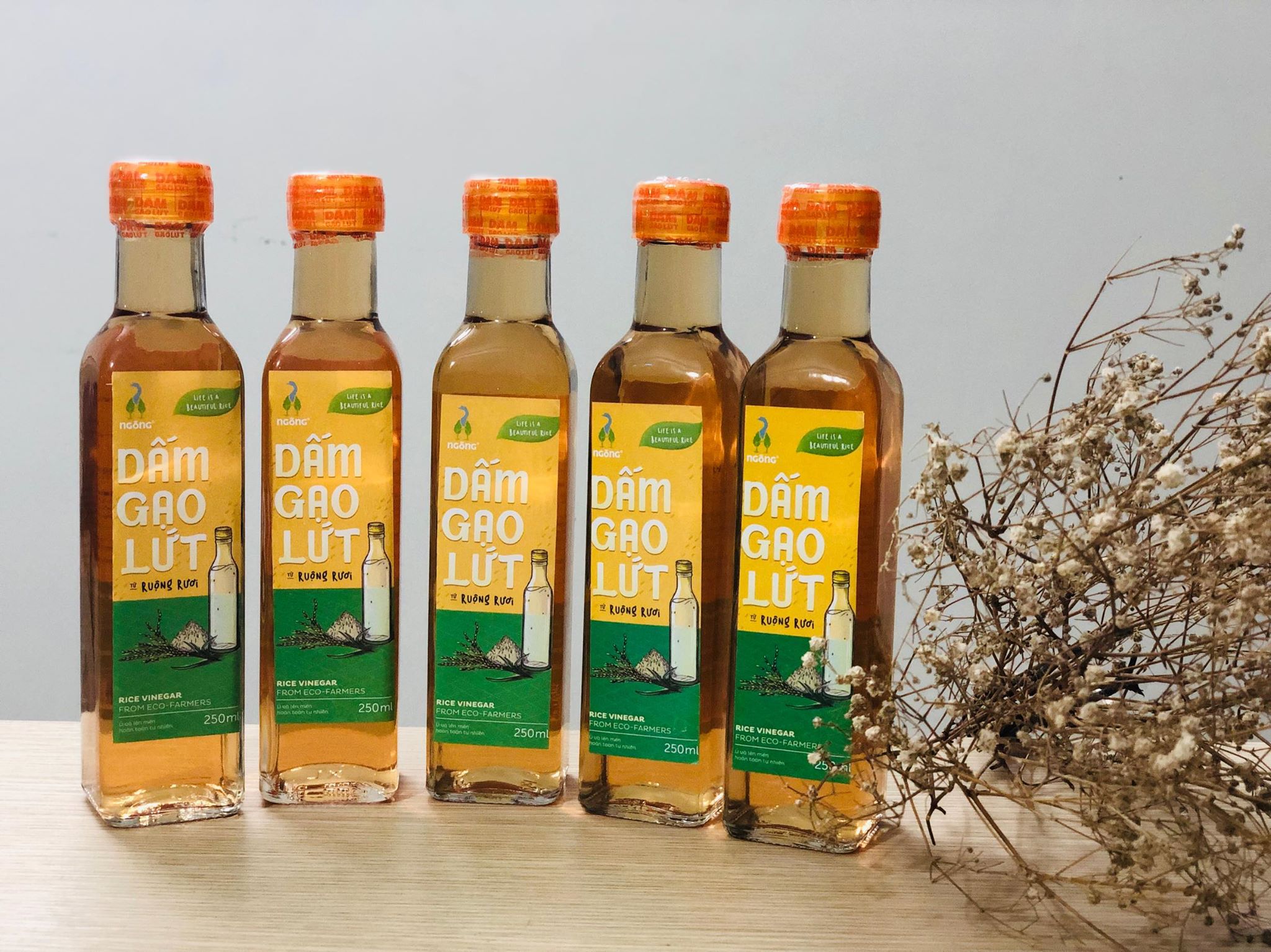 Dấm gạo lứt - Ngỗng nguyên chất 100%