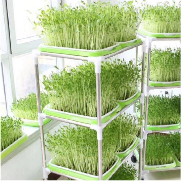 Bộ kit Khay trồng rau mầm thủy canh chuyên dụng - tặng kèm vòi xịt + Hạt giống rau mầm