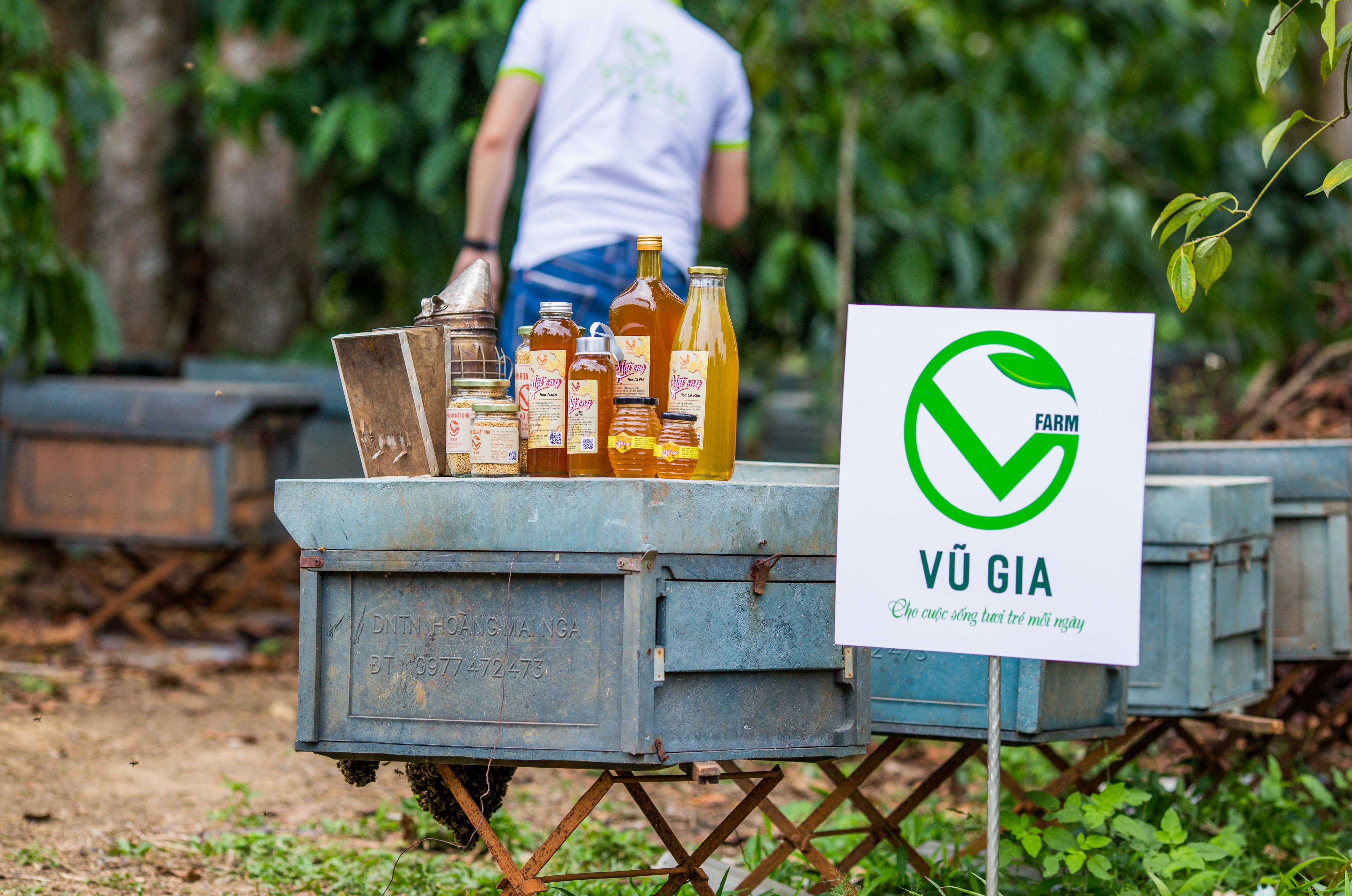 Mật Ong Hoa Nhãn Nguyên Chất Vũ Gia