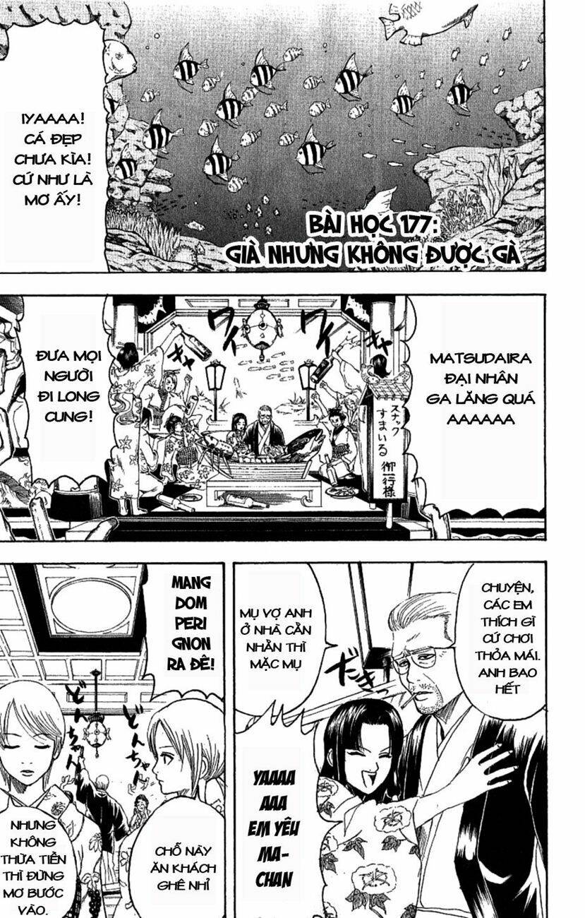 gintama - linh hồn bạc chapter 177 1