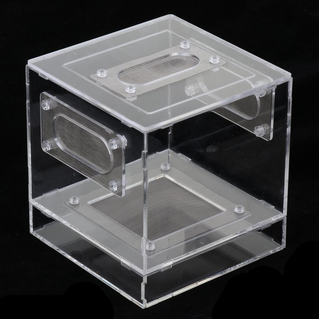 Small Reptile Lizard Spider Scorpion Insect Vivarium Feeding Rearing Box