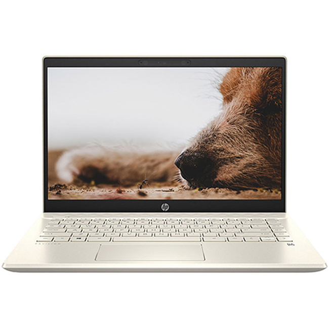 Laptop HP Pavilion 14-dv0008TU 2D7A5PA (Core i5-1135G7/ 8GB DDR4 3200Mhz/ 512GB PCIe NVMe M.2 SSD/ 14 FHD IPS/ Win10 + Office) - Hàng Chính Hãng