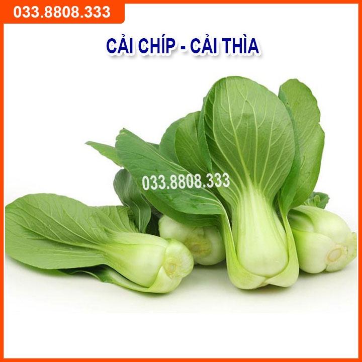 Bộ 5 Loại Hạt Giống Rau Cải Bất Kỳ - Rau Trồng Chậu Nhanh Thu Hoạch