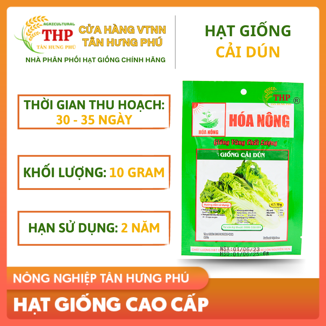 Hạt giống Cải Dún | Hạt giống | gói 10gr