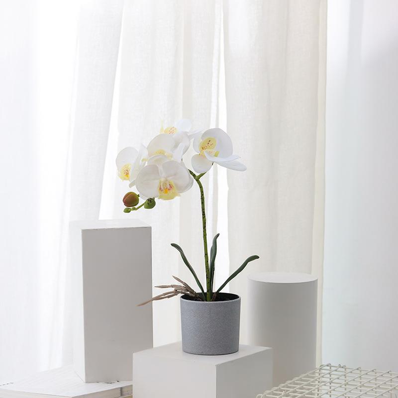 Hoa nghệ thuật hoa lan nhân tạo hoa phalenopsis trong nồi gốm cho văn phòng tại nhà
