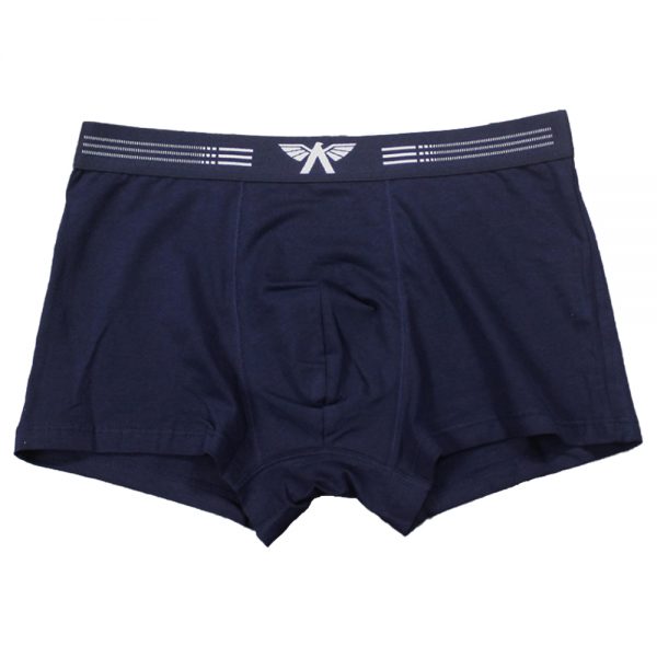 Quần lót nam Aristino - 0131184 ABX056 xanh XL