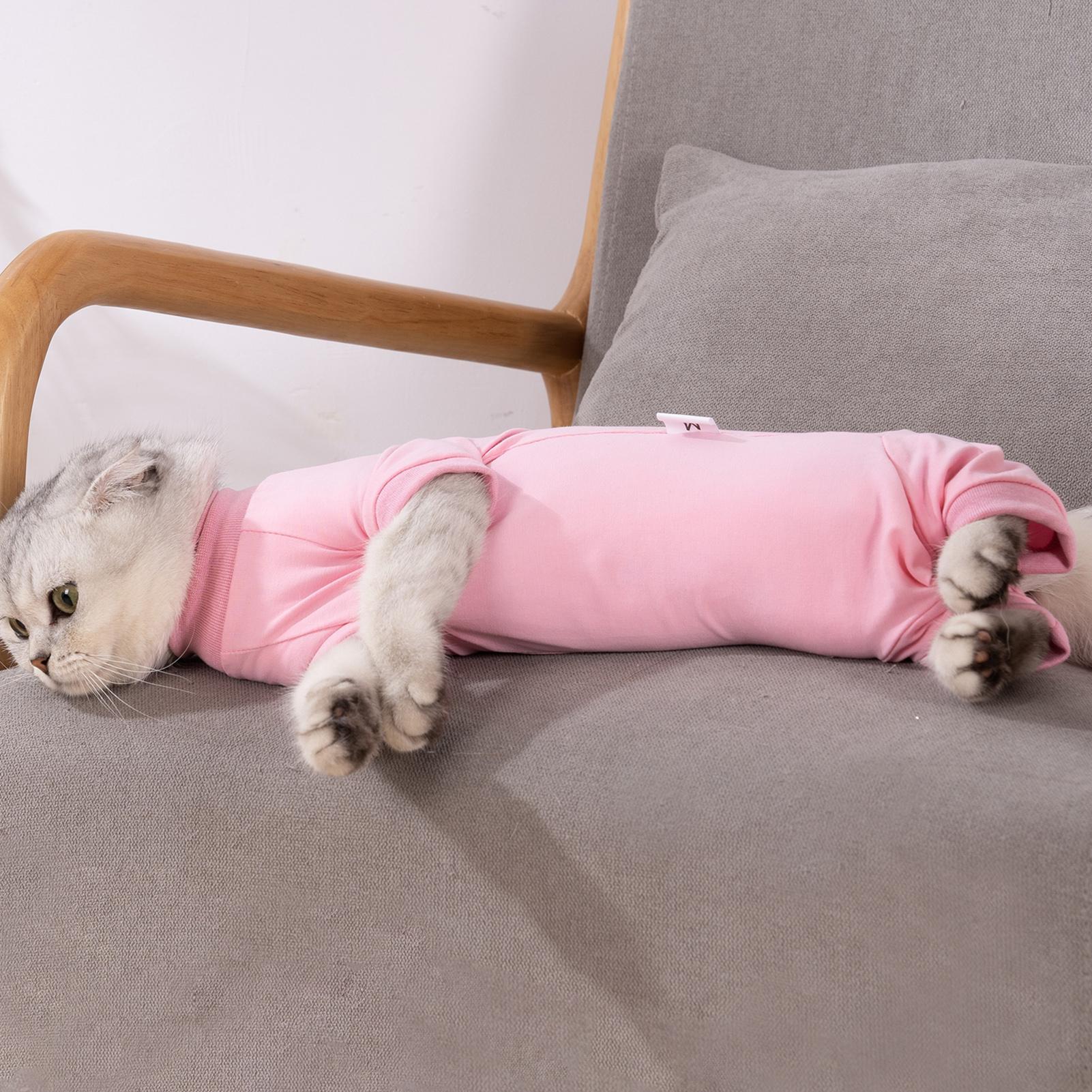 Bộ Đồ Phục Hồi Vết Thương Sau Khi Phẫu Thuật Cho Thú Cưng