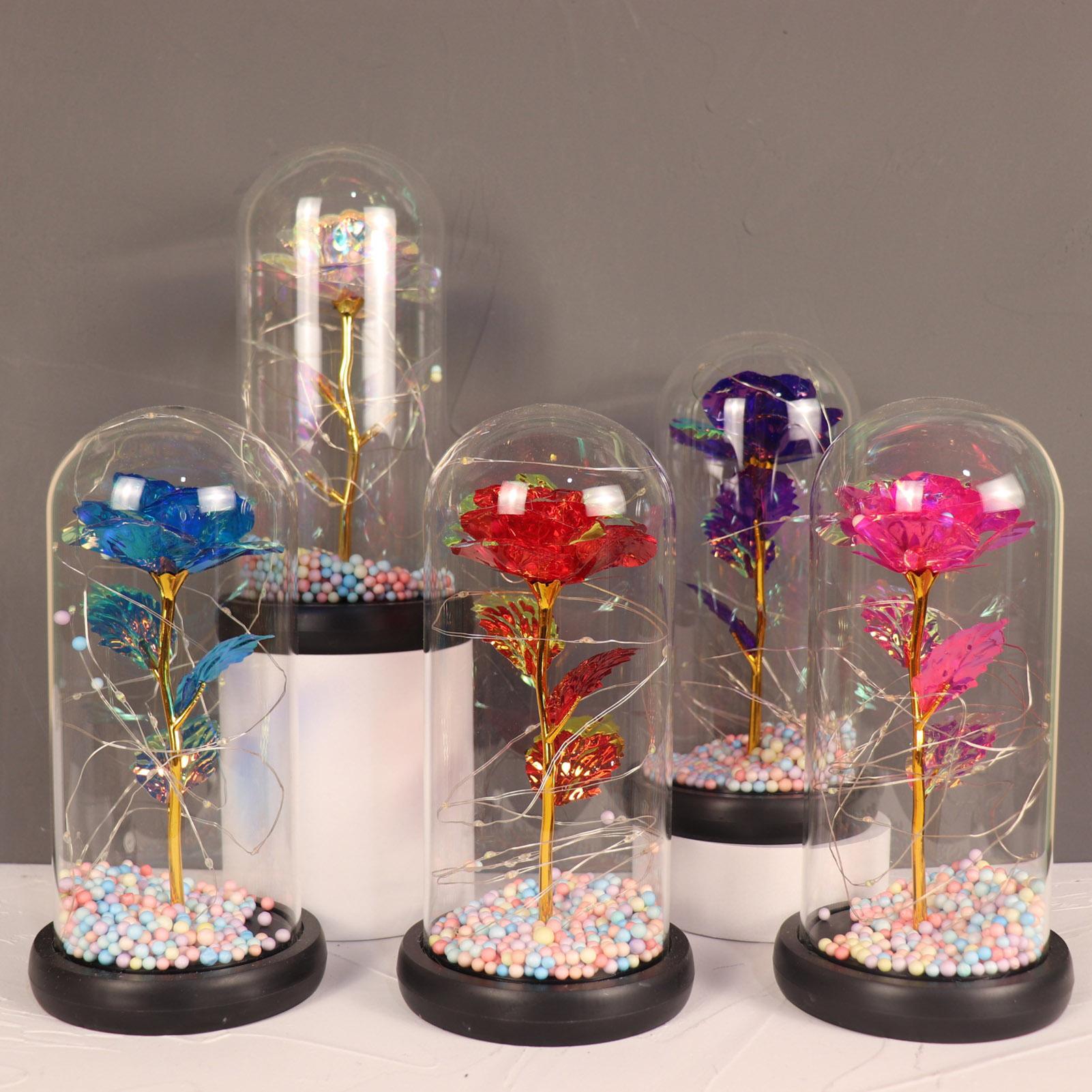 Đồ trang trí hoa sinh học làm quà tặng