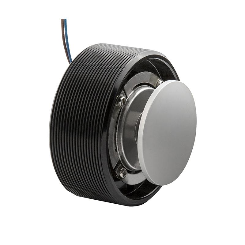 Loa rung toàn dải 25W 8ohm 50MM Âm thanh Loa di động Âm trầm Bass Neodymium Sound Exciter Màu sắc: Bạc 25W 8ohm