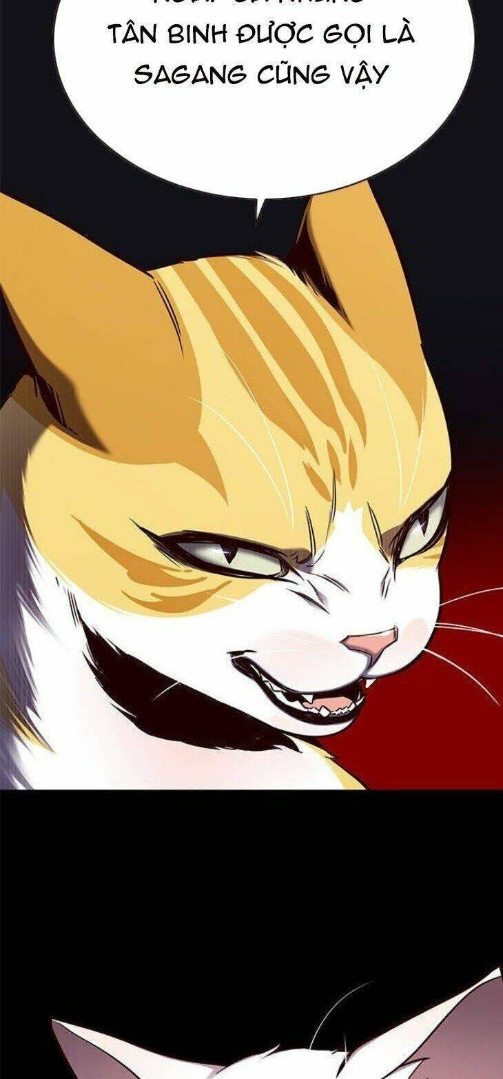 biến thân thành mèo chapter 146 42