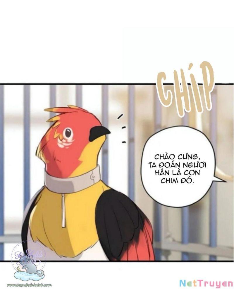 xin hãy cứ khóc, thái tử chapter 1 52