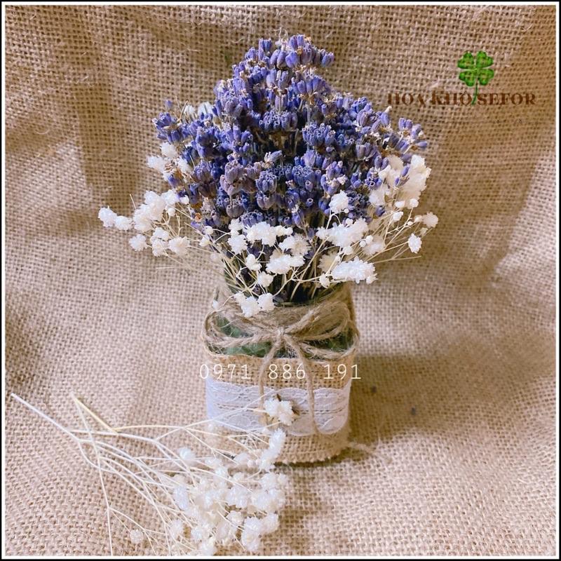 Hoa khô Lavender ️Lọ hoa Lavender để bàn, làm quà tặng