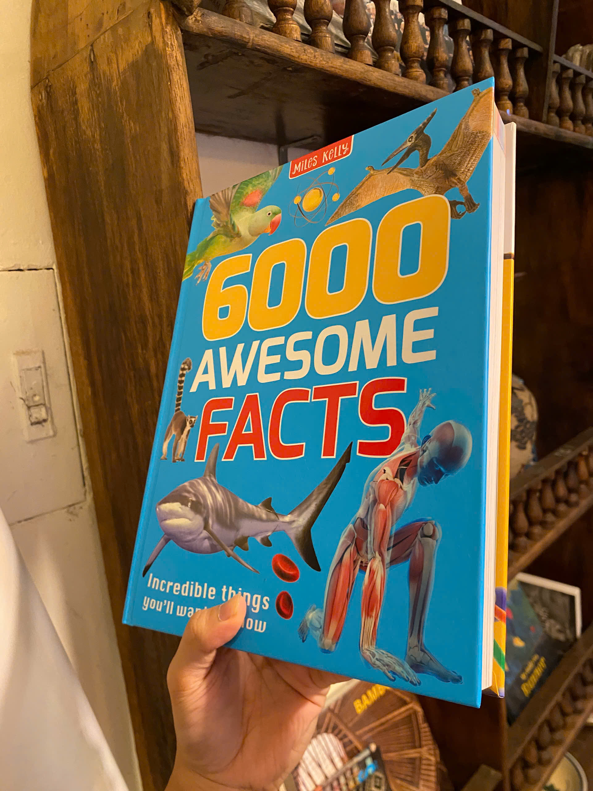 Sách - 6000 Awesome Facts: Incredible Things You'll Want To Know by Miles Kelly | Children Book