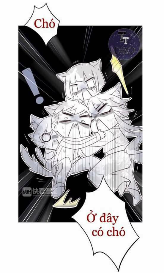 dưới móng vuốt mèo chapter 5 14