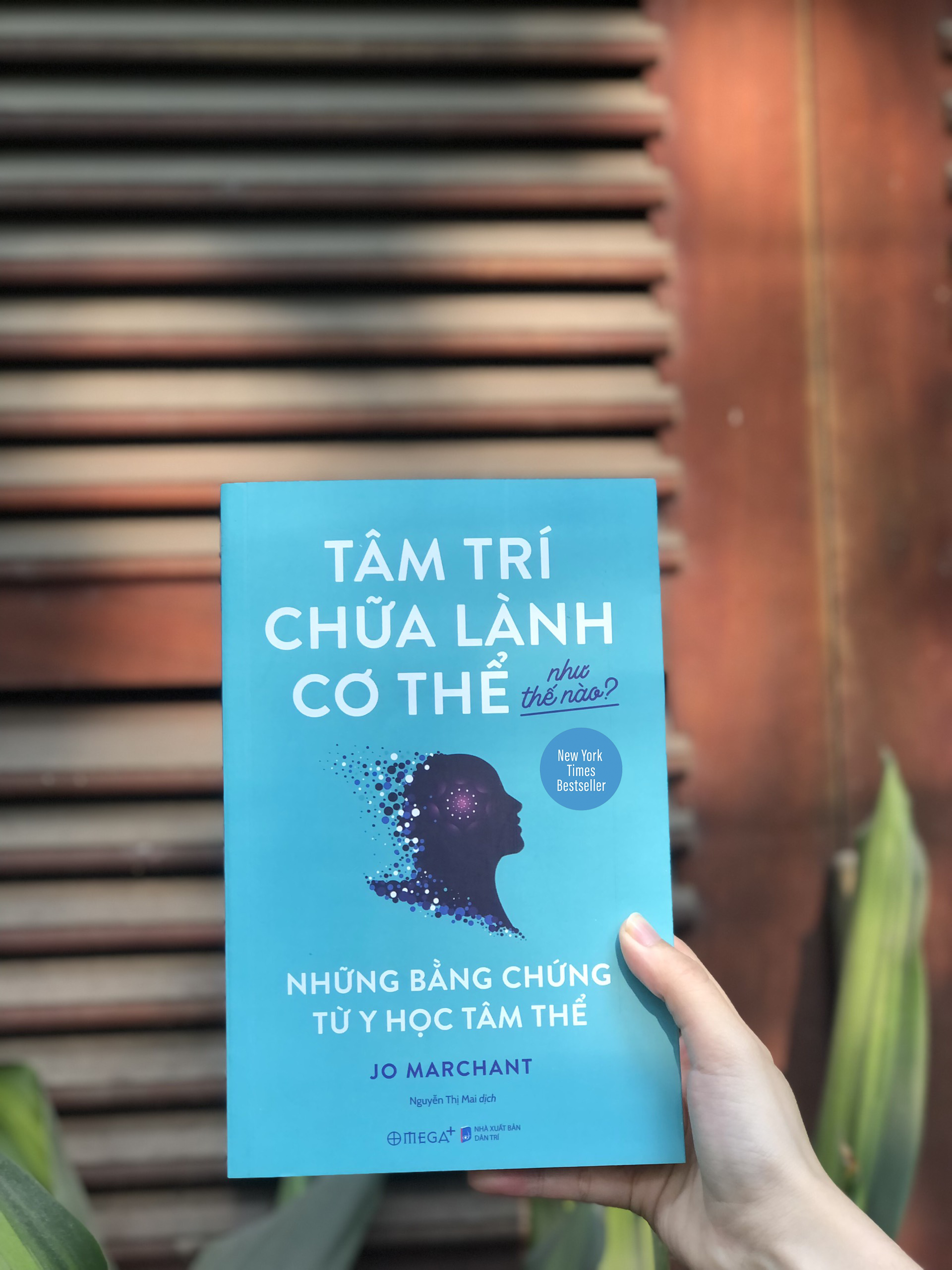 Tâm Trí Chữa Lành Cơ Thể Như Thế Nào? - Những Bằng Chứng Từ Y Học Tâm Thể