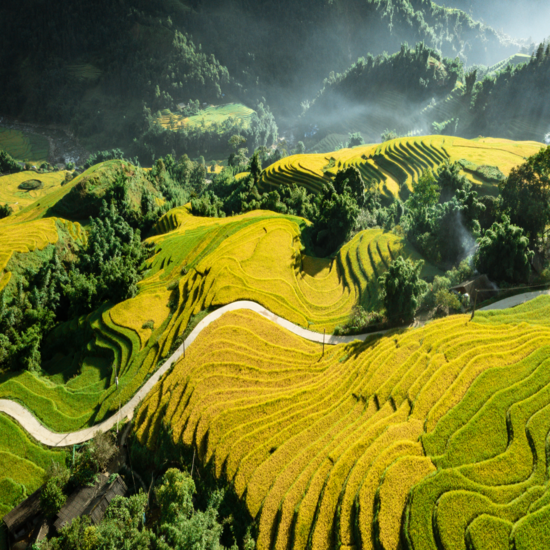 Hà Nội - Sapa - Fansipan - Ninh Bình - Tràng An - Bái Đính - Tuyệt Tịnh Cốc - Hạ Long - Yên Tử I Ngắm Hoa Ban