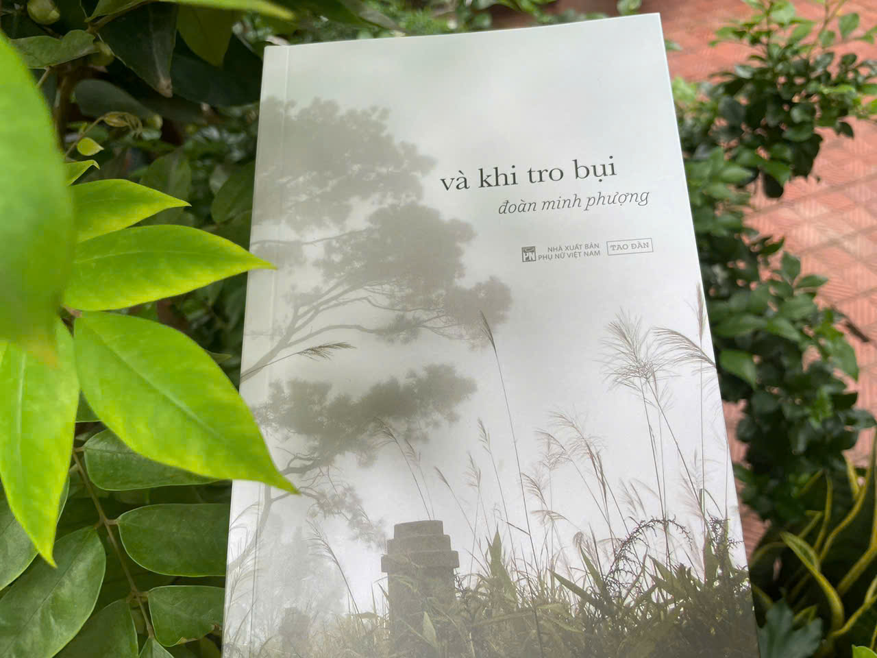 Sách Và Khi Tro Bụi (tái bản)