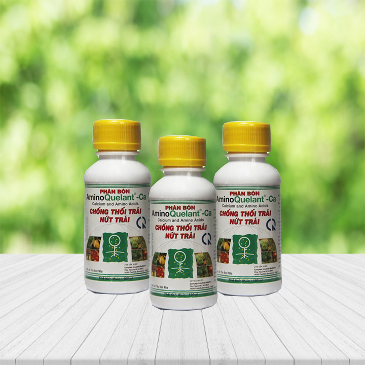 Combo 3 lọ phân bón AMINO QUELANT-CA chống đỗ ngã, thân cứng cáp, bông lâu tàn - Phân bón chuyên dùng cho hoa lan, hoa hồng, bonsai