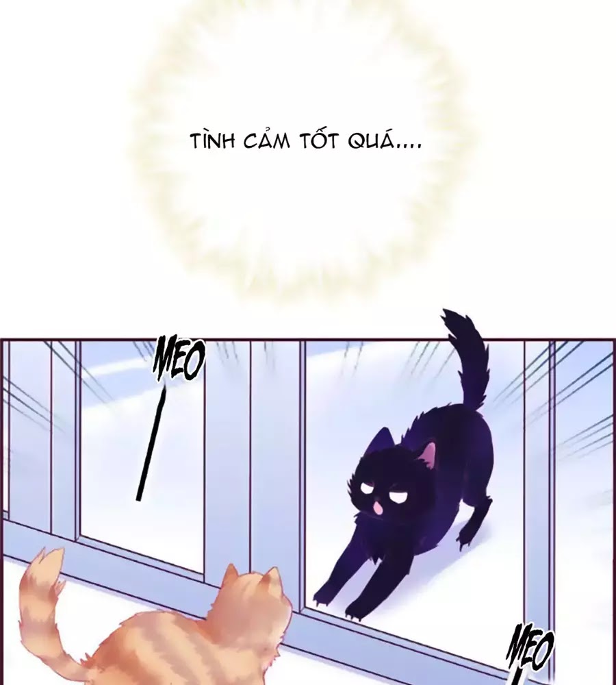 Đừng Nghịch, Ta Chỉ Muốn Yên Tĩnh chapter 69 - Trang 21