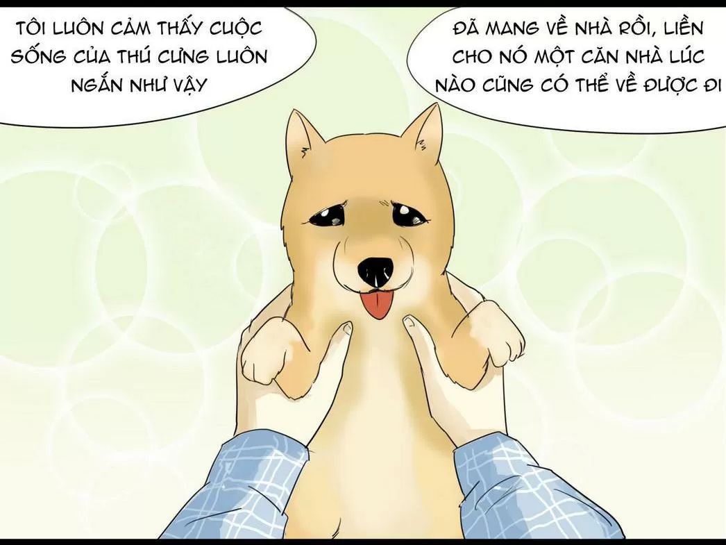 một con chó chapter 50 3