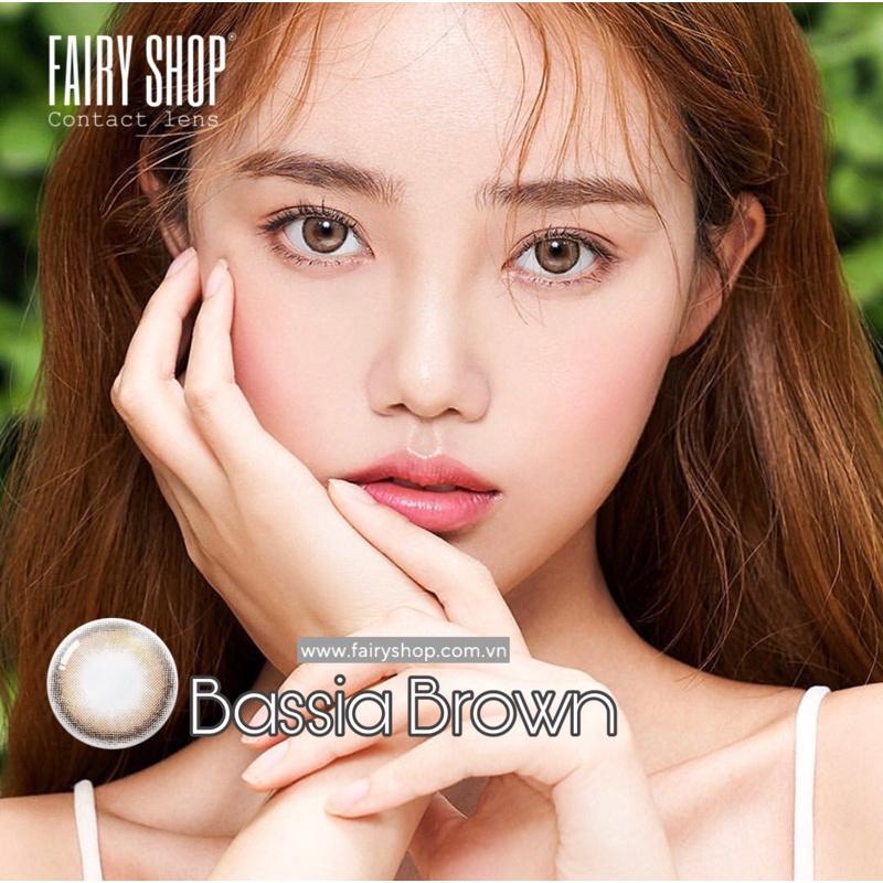 Kính Áp kính tròng cao cấp Bassia Brown Lens 14.0mm - FAIRY SHOP CONTACT LENS độ 0 đến 6