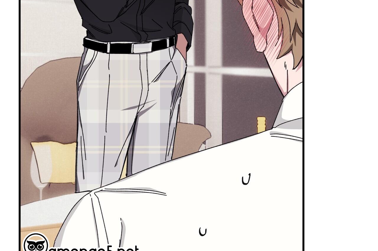 chàng dâu nhà họ kang chapter 33 43