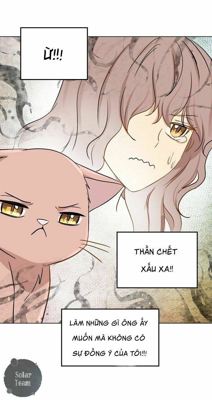 một cuộc sống kỳ lạ chapter 1 48