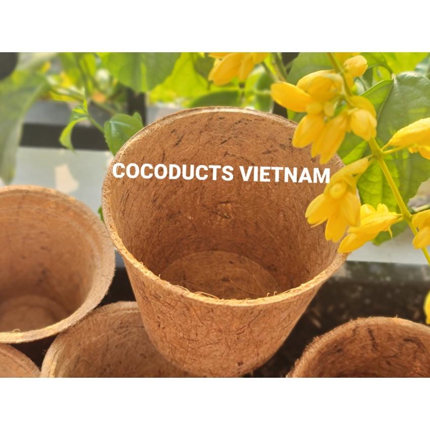 Chậu xơ dừa ép nhiệt Coir Pot (Chậu kiểng lá)