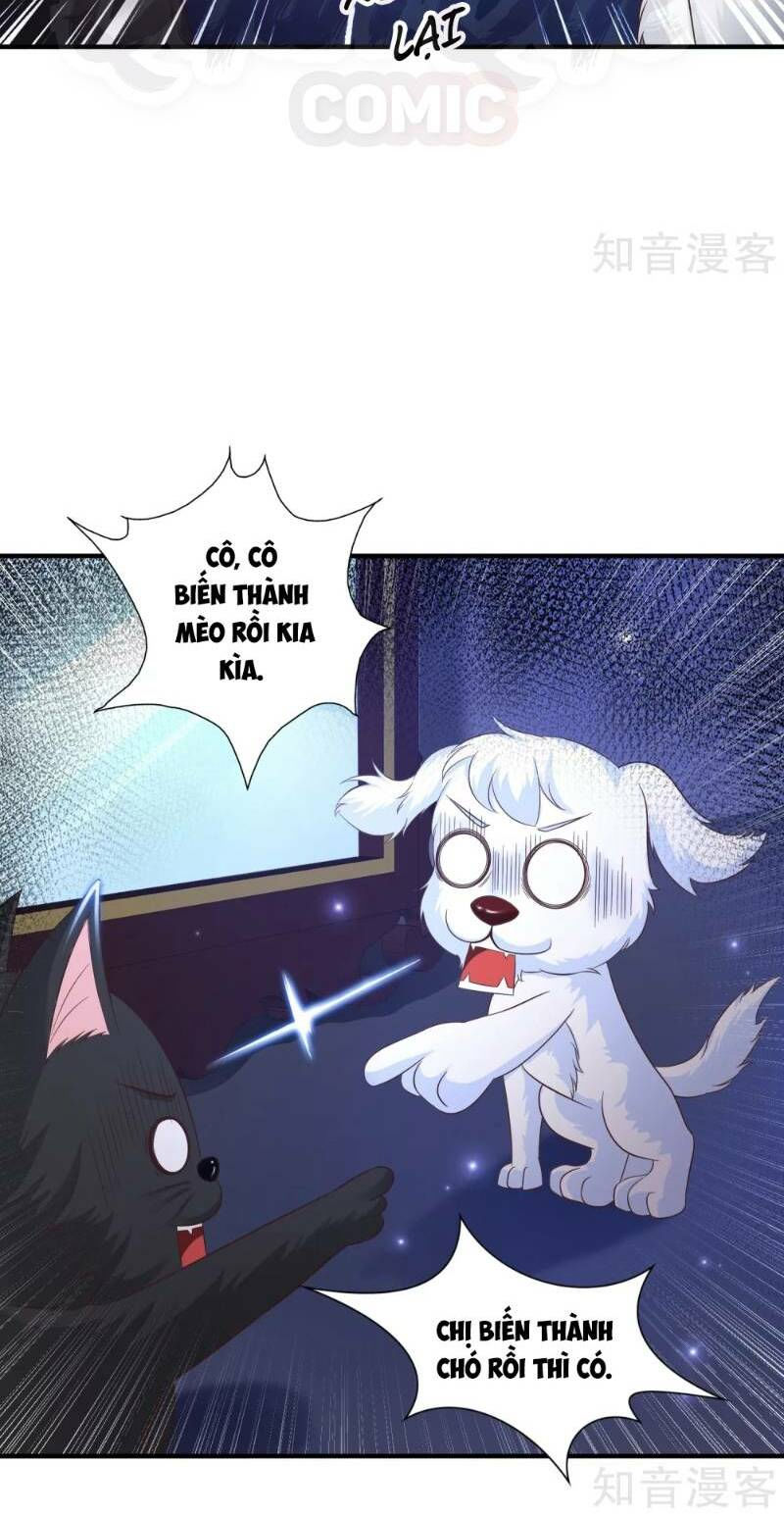 tối cường vận đào hoa chapter 77 8