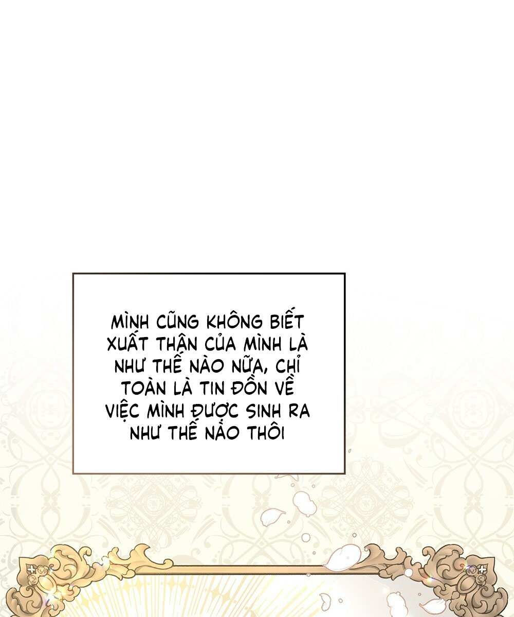 đi tìm nàng camellia chapter 29.1 14