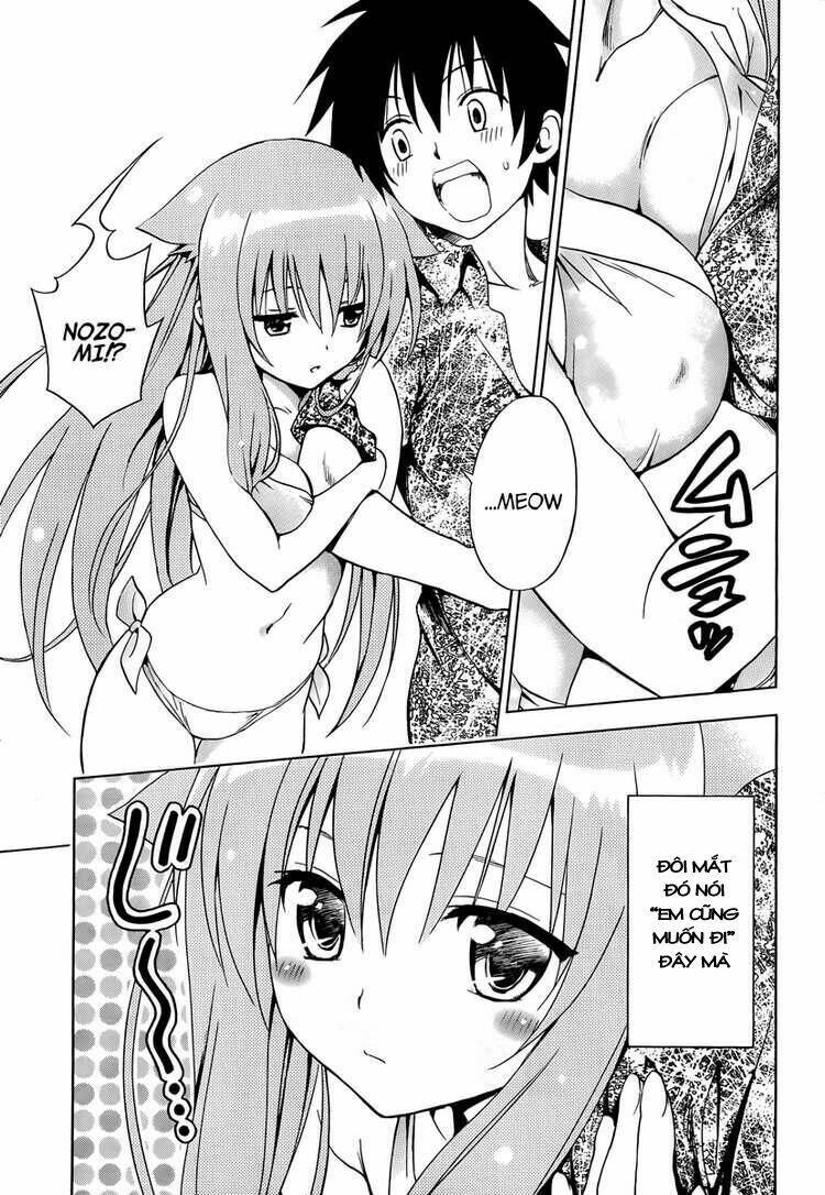 mayoi neko overrun! chapter 5 12