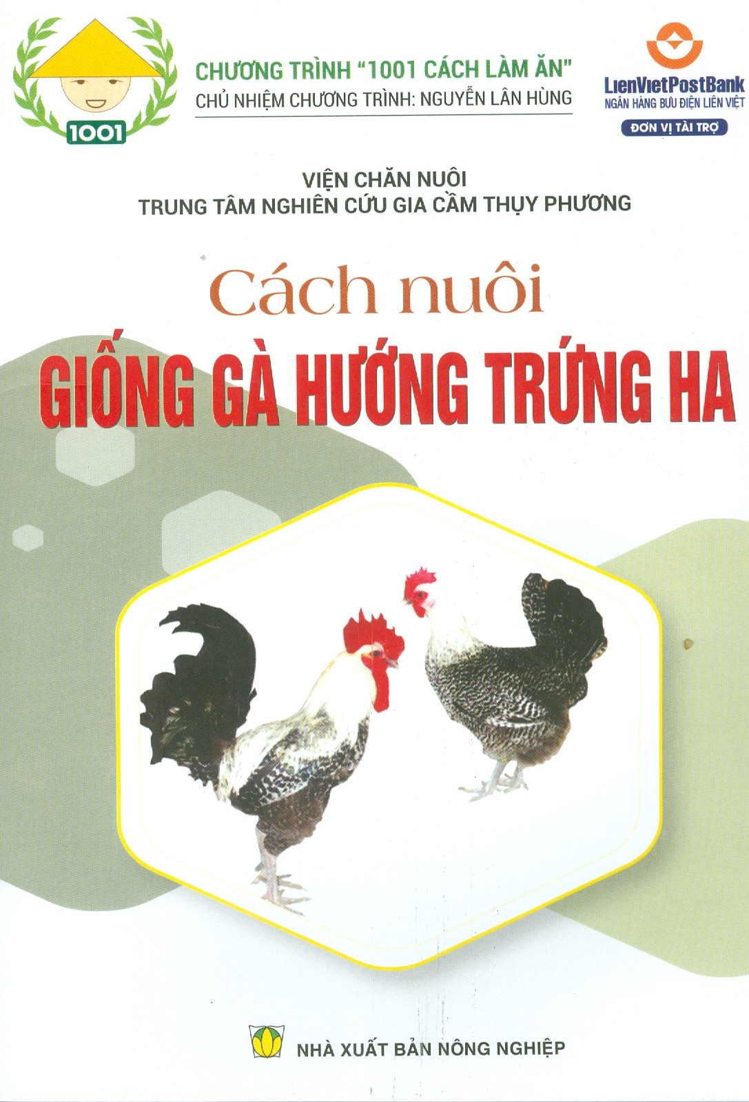 Cách Nuôi GIỐNG GÀ HƯỚNG TRỨNG HA