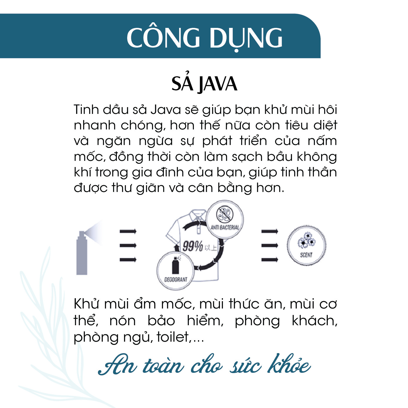 Combo 2 chai Xịt Phòng Tinh Dầu Sả JaVa Hữu Cơ Organic 24Care 100ML/Chai - Kháng khuẩn - Khử mùi hôi - Đuổi muỗi, côn trùng.