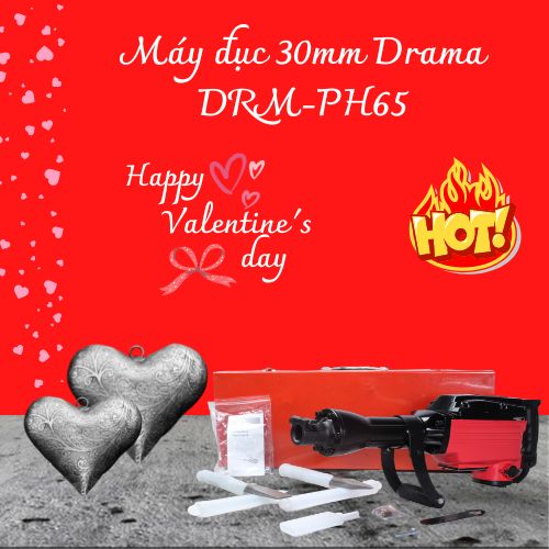 Máy đục 30mm Drama DRM-PH65