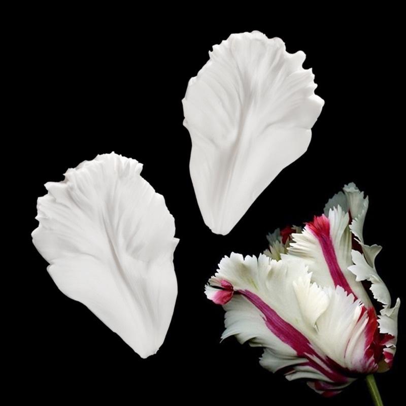 Khuôn gân hoa tulip