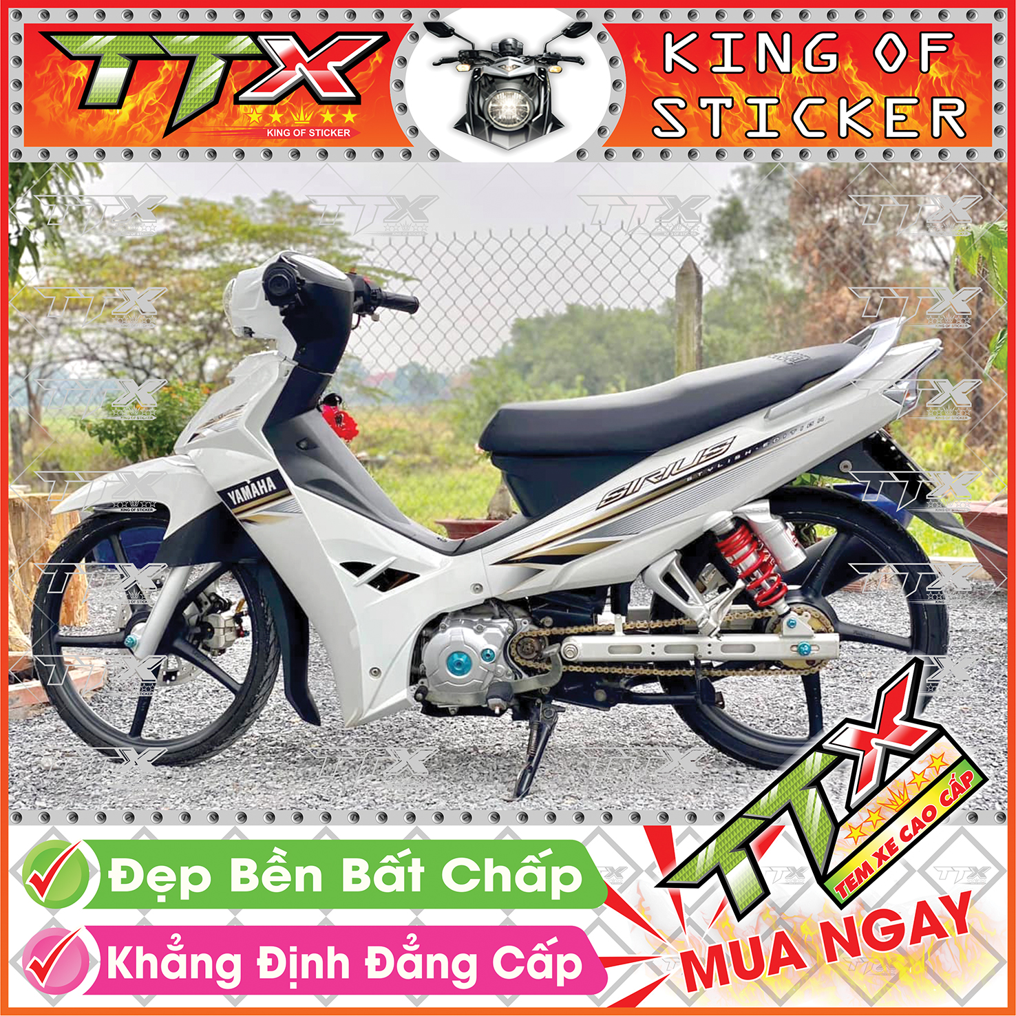 Tem dành cho xe sirius chỉ , Team phụ kiện sirius màu đồng nền trắng vệt đen tuyệt đẹp , Shop TTX tem rời sirius mã (S0045/A2)