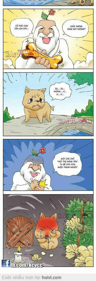 kim chi và củ cải chapter 815 2