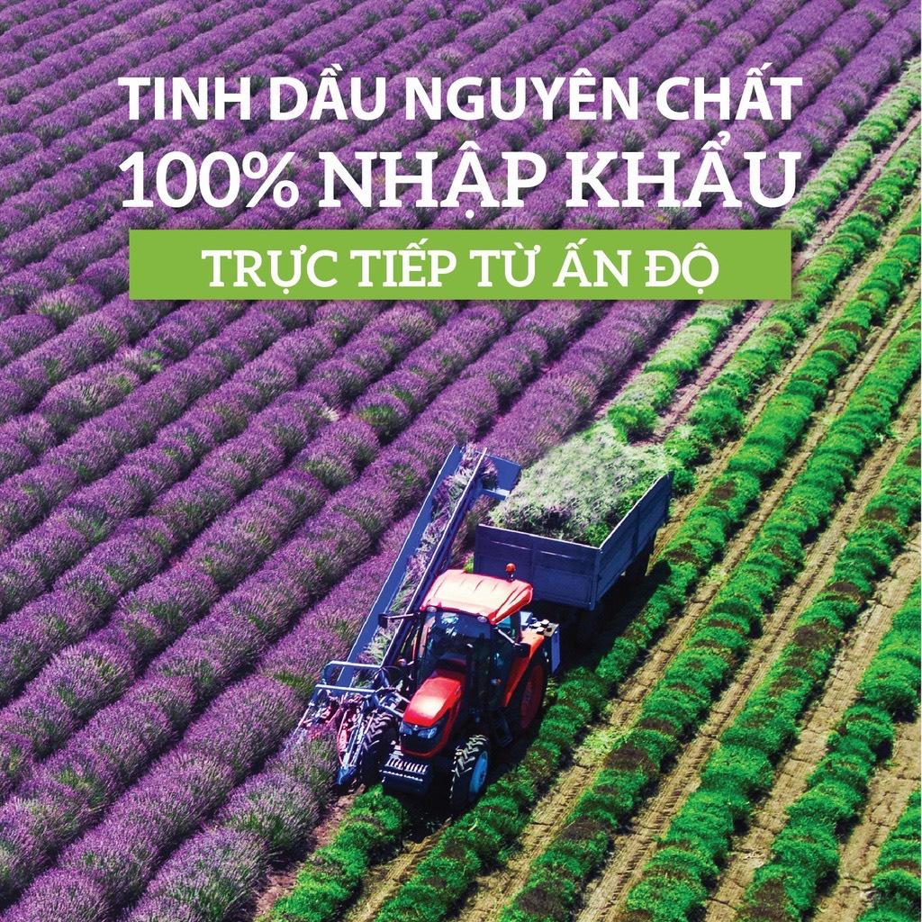 Tinh dầu Sả Chanh SUZIKO đuổi muỗi, tinh dầu tốt cho răng miệng loại 10ml