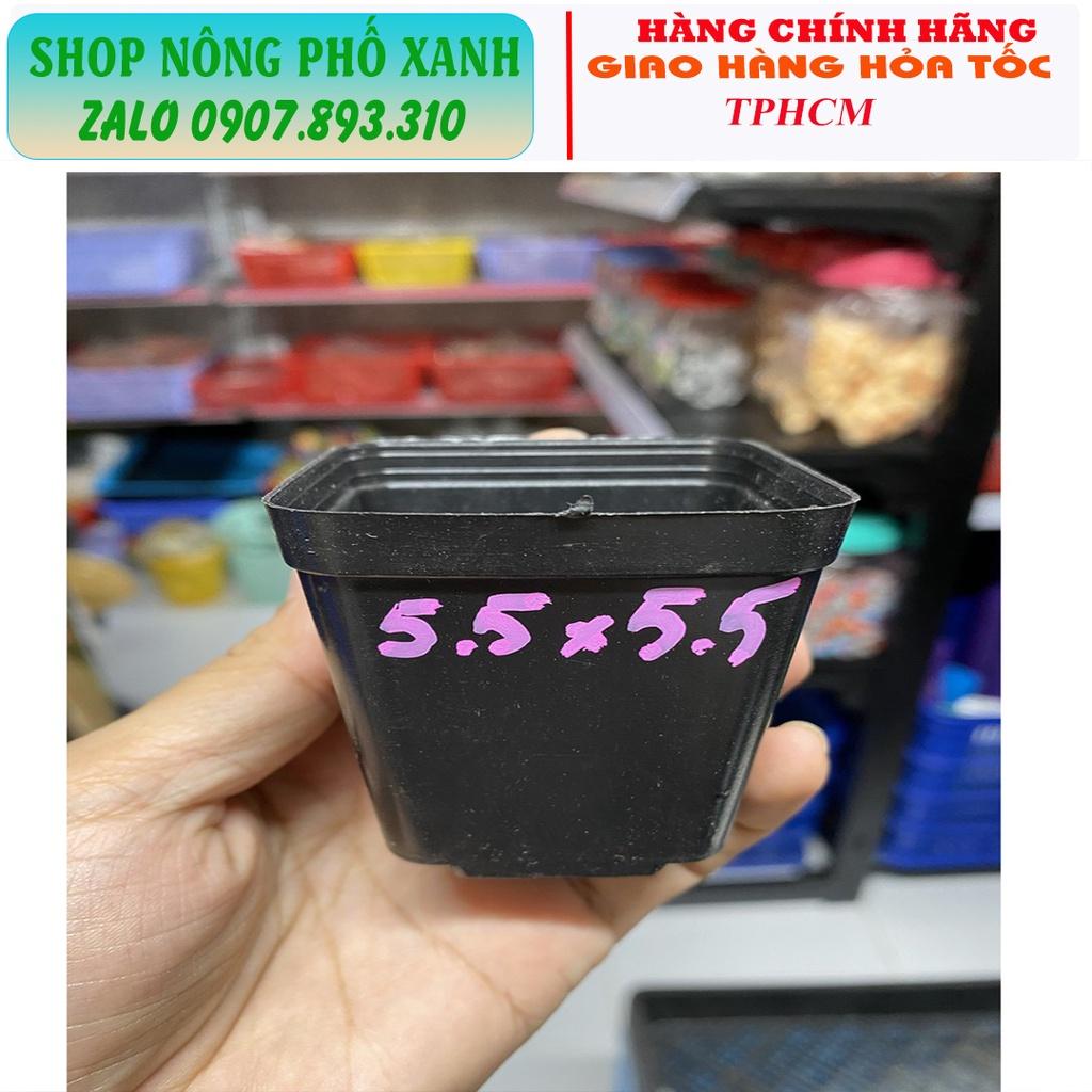 Chậu đen dẻo trồng sen đá bonsai xương rồng ươm cây con, trồng phôi bonsai mini