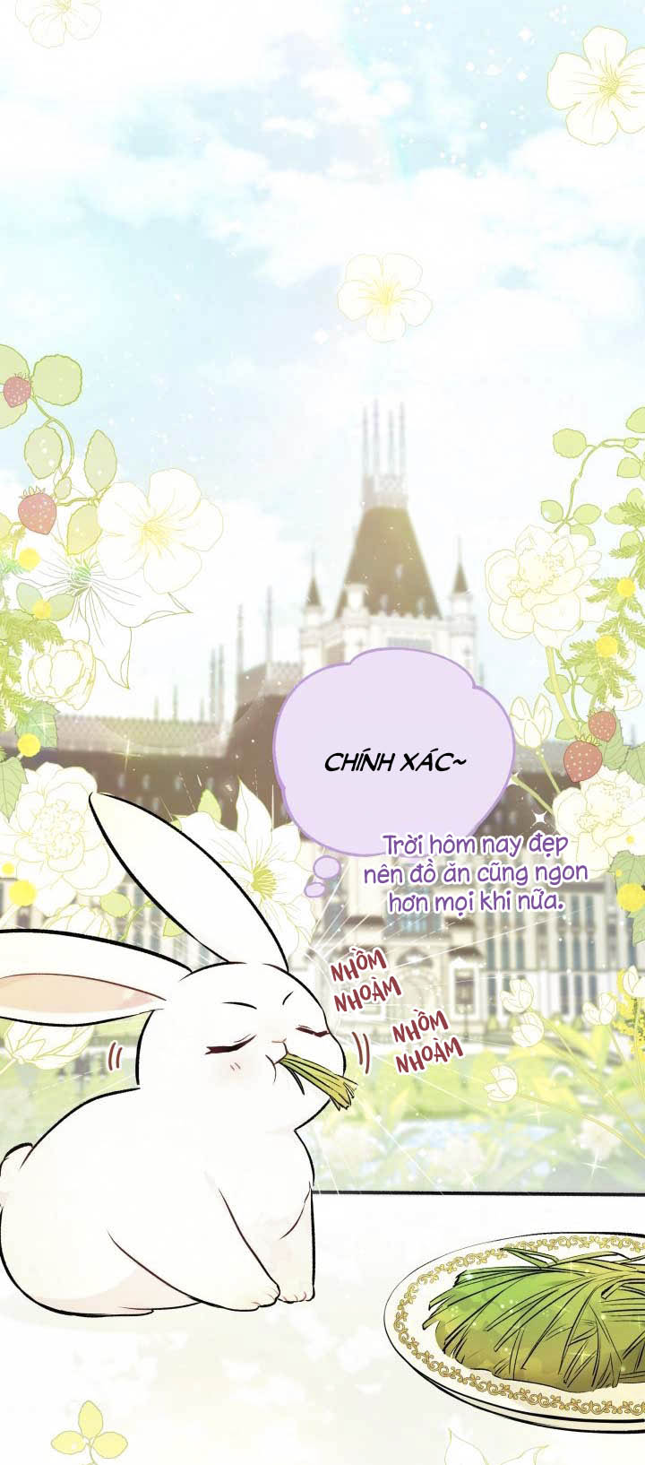 mối liên kết giữa báo đen và bé thỏ chapter 6 3