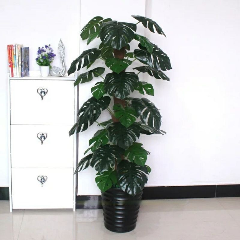 Cây trầu bà lá xẻ - Size 160cm - kèm chậu và sỏi trắng - Cây giả, hoa lụa trang trí nhà cửa