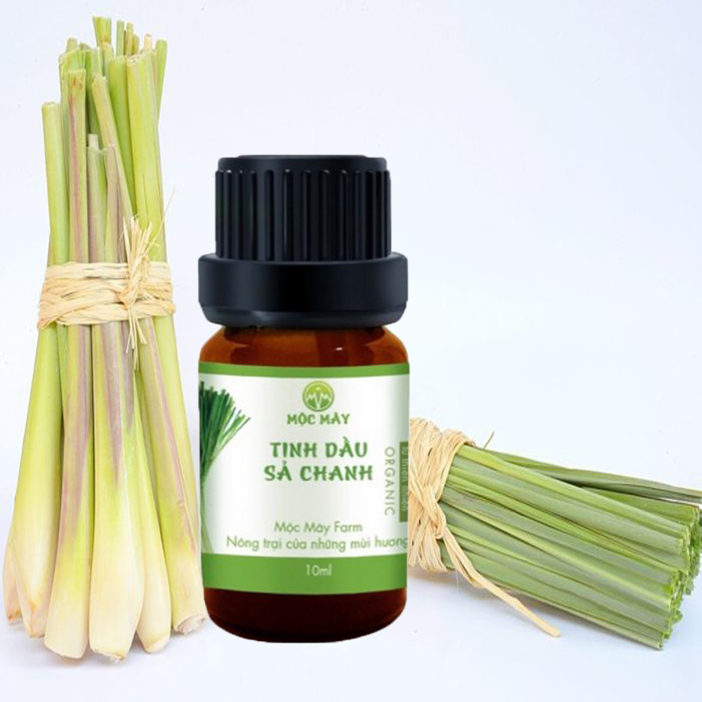 Combo 2 chai Tinh dầu thiên nhiên Mộc Mây: Tinh Dầu Sả Chanh Lemongrass 10ml+Tinh dầu Bạc Hà 10ml