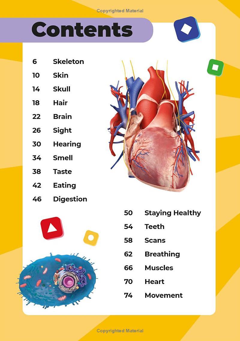 Sách ngoại văn: Kahoot! Quiz Time Human Body