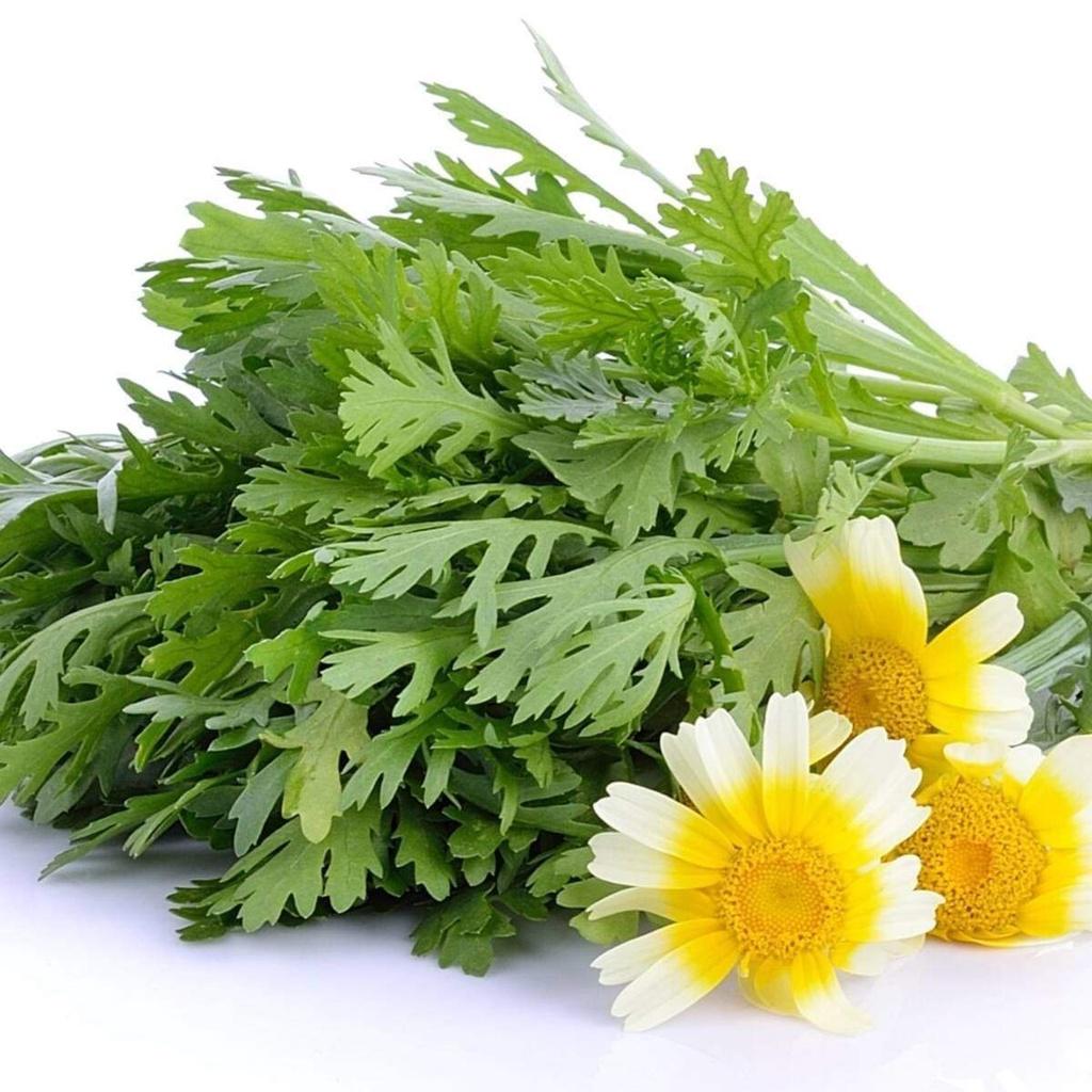 Hạt giống Rau Tần Ô nếp , đóng gói 20gr