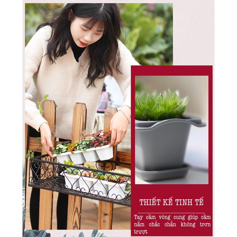 Chậu trồng sen đá Oliz T1 - Chậu trồng cây mini. Bao gồm khay lót đáy chậu cây
