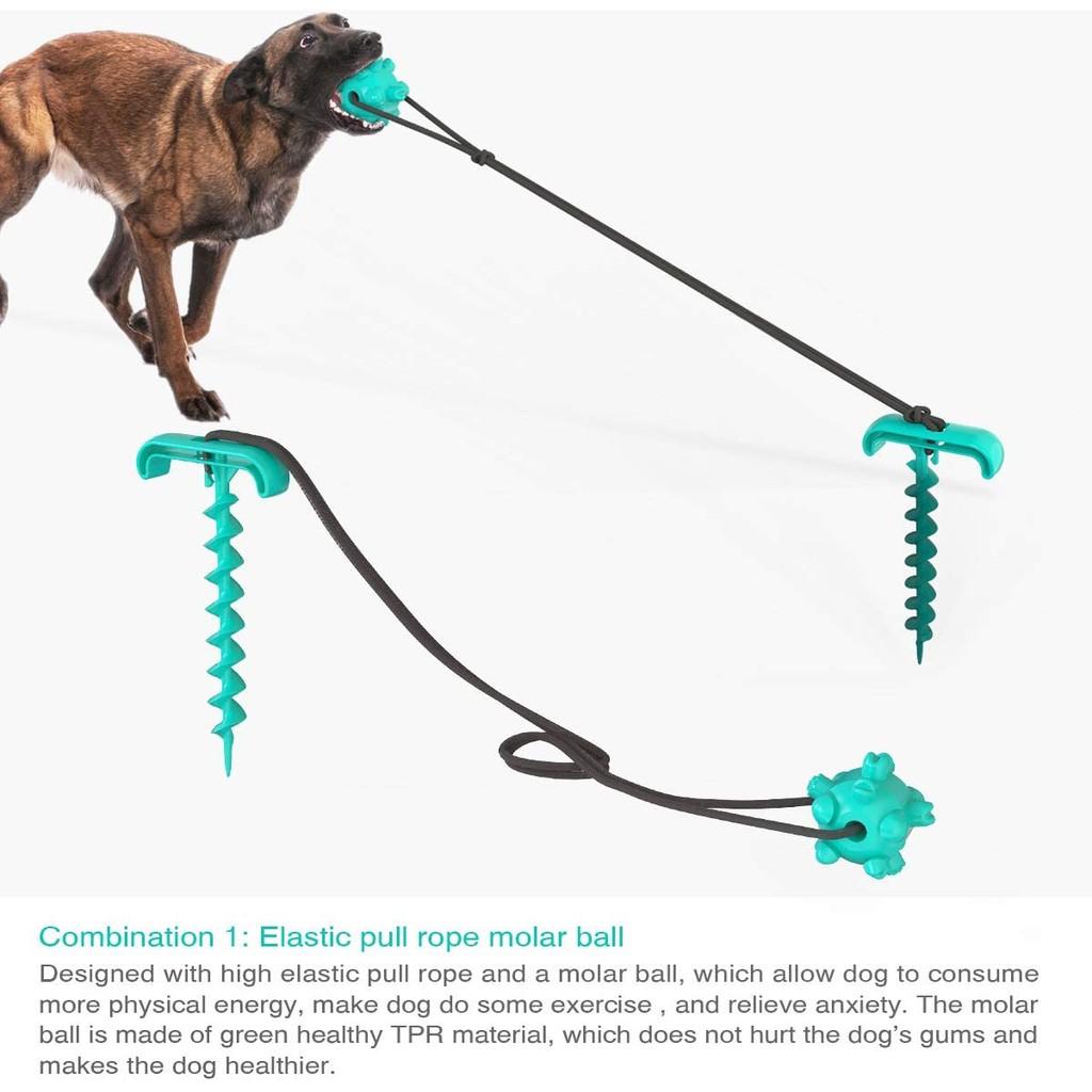 Luyện Răng Thú Cưng Khoẻ và Sạch Pin Dog Leash thế hệ mới