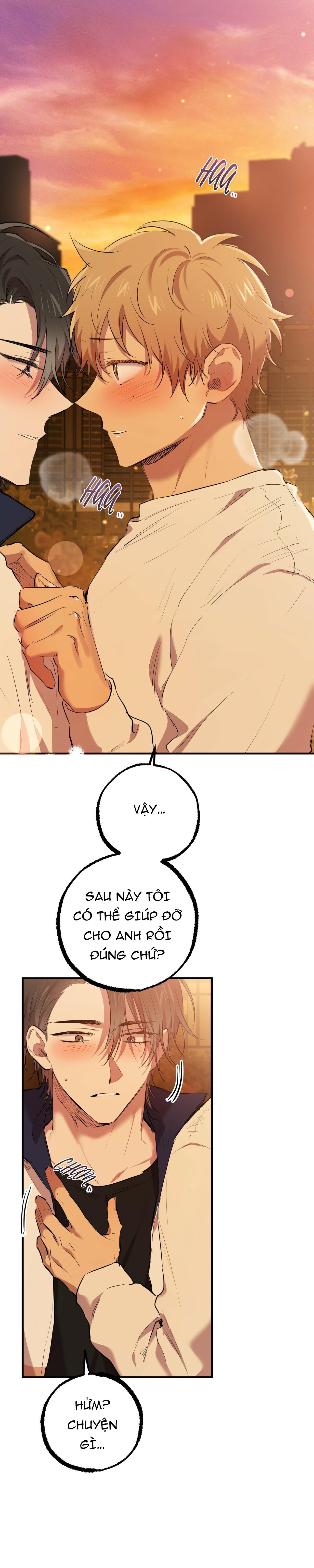 những chú thỏ của hapypy chapter 25 1