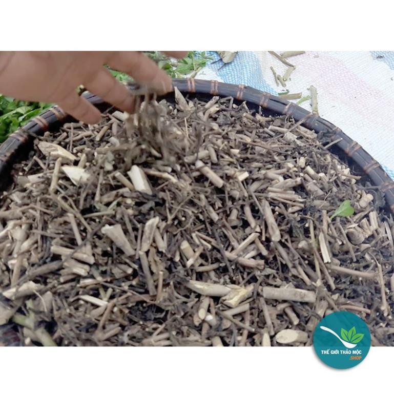 Cây Đuôi Chuột khô 1KG - TM191